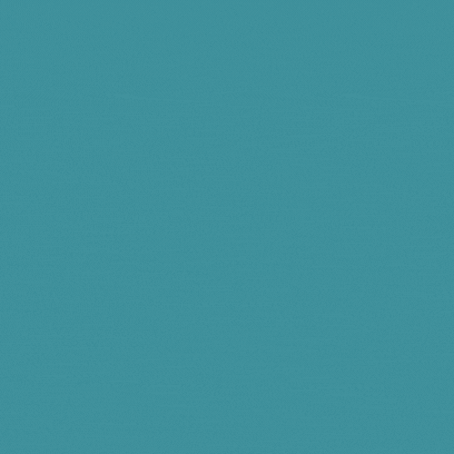 Splash screen logo animation
